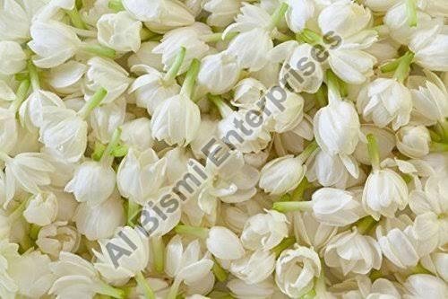 Dried Jasmine Flowers Color White