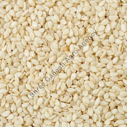 White Natural Sesame Seeds, Style : Dried, Packaging Type : Plastic Packet