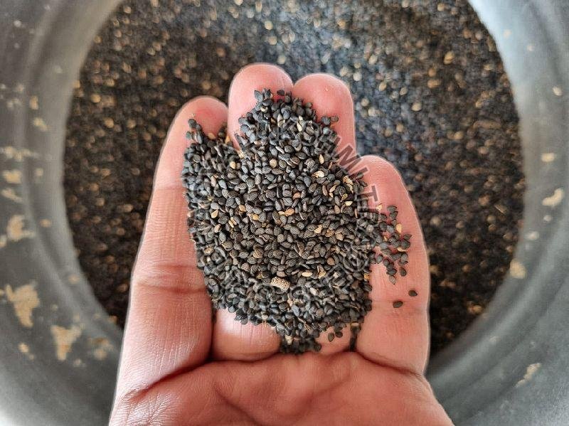 Black Sesame Seeds, Packaging Type : Jut Bag, Packaging Size : 50kg