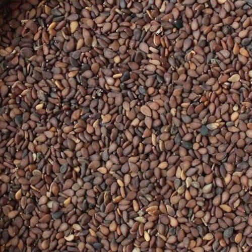 Organic Brown Sesame Seeds, Style : Dried, Packaging Type : Gunny Bag