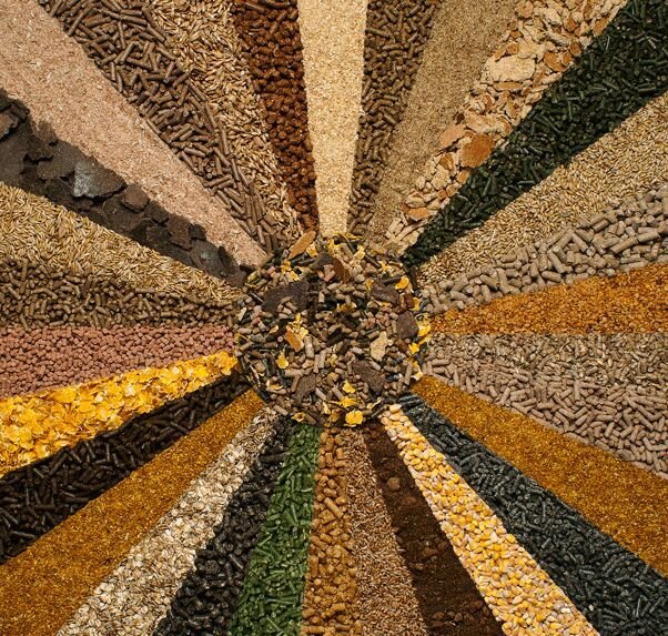 Organic Cattle Feed Raw Material, For Animal Feeding, Packaging Type : Jute Bags