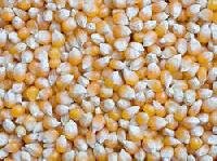 Cattle Feed Raw Material, Packaging Type : PP Bags