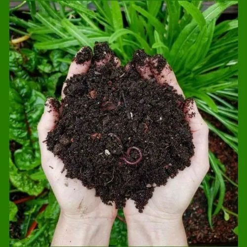 Organic Vermicompost Bio Fertilizers, For Agriculture, Packaging Size : 25kg, 50kg