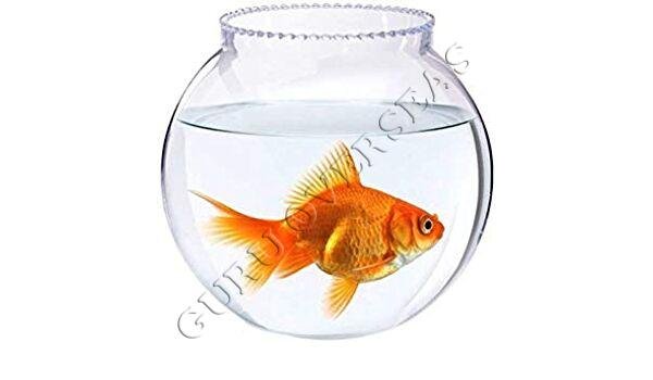 Glass Fish Bowl, Features : Fine Finishing, Good Quality, Light Weight, Pattern : Plain, Printed