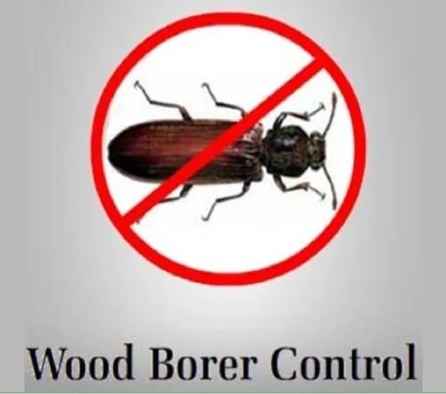 Wood Borer Control Services