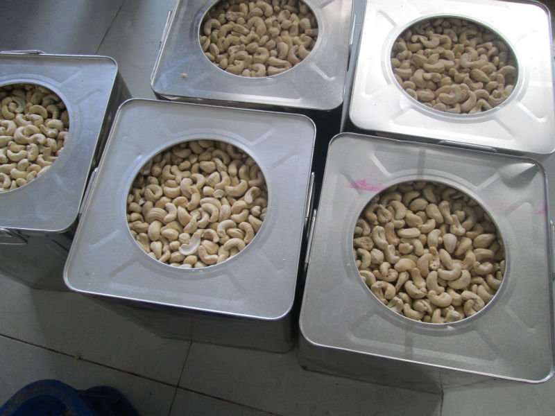 Finished Cashew Nuts, Packaging Type : 20ft FCL