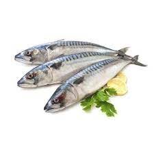 Frozen Fish, For Food, Human Consumption