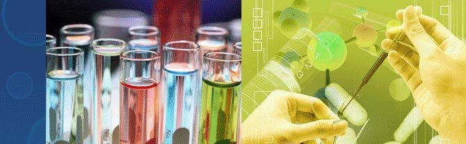 Textile Sizing Chemicals