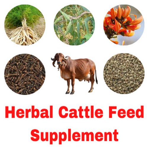 Herbal Feed Supplements