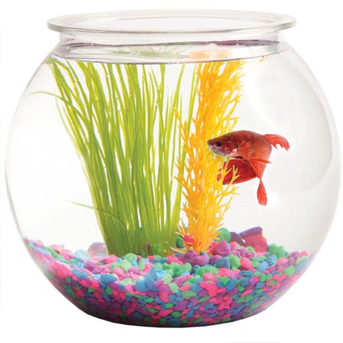 Glass Fish Bowl
