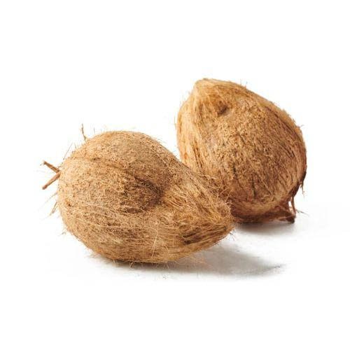 Coconut