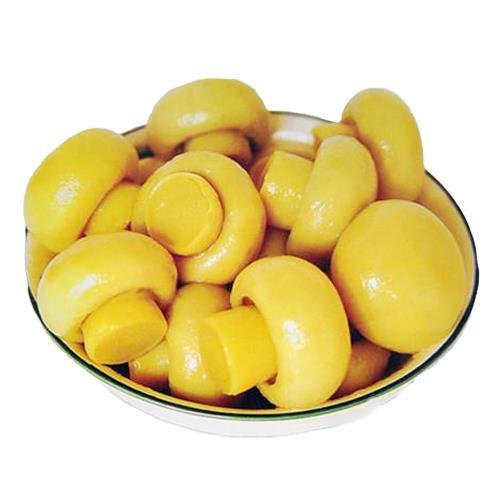 Canned Oyster Mushroom